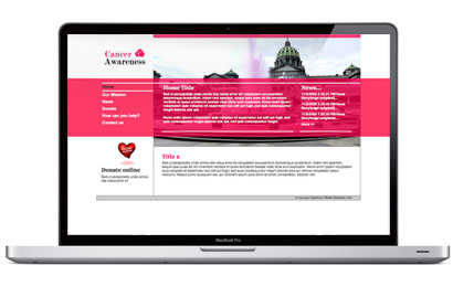 Design 4 Charities website.